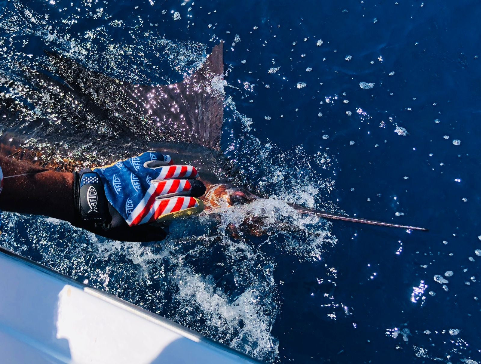 52' Fishing Charter
