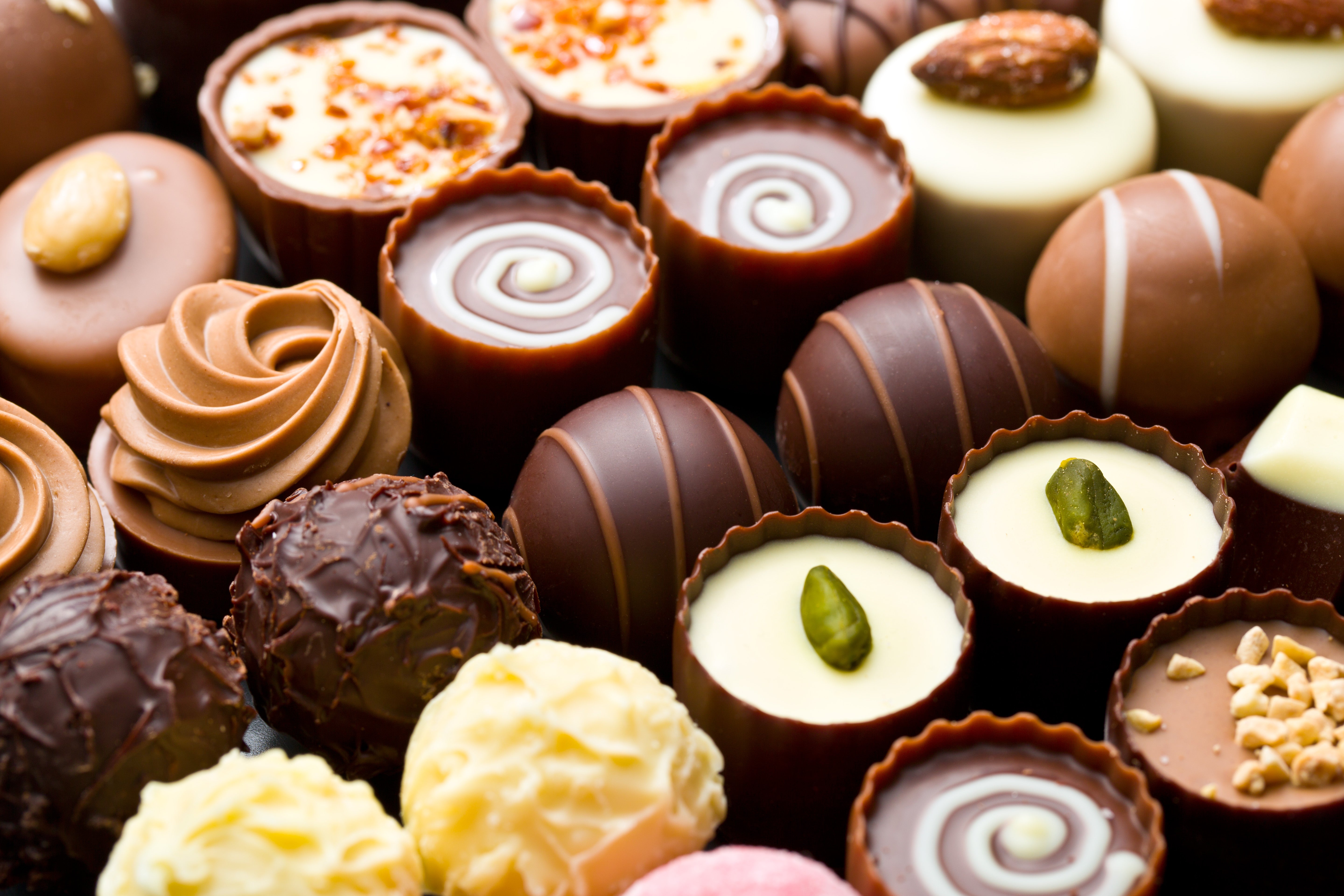 Chocolate Tasting