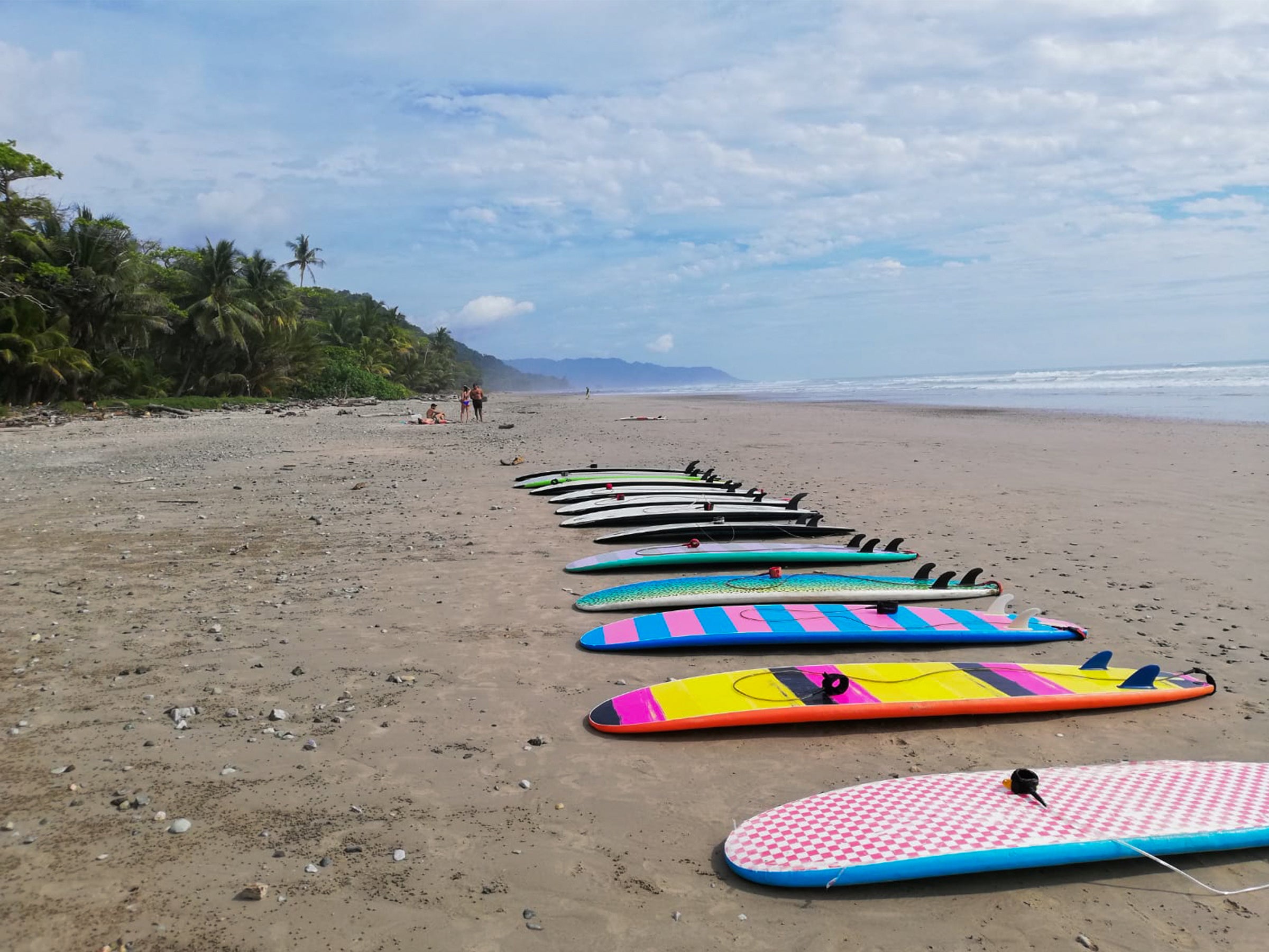 Surf Lessons