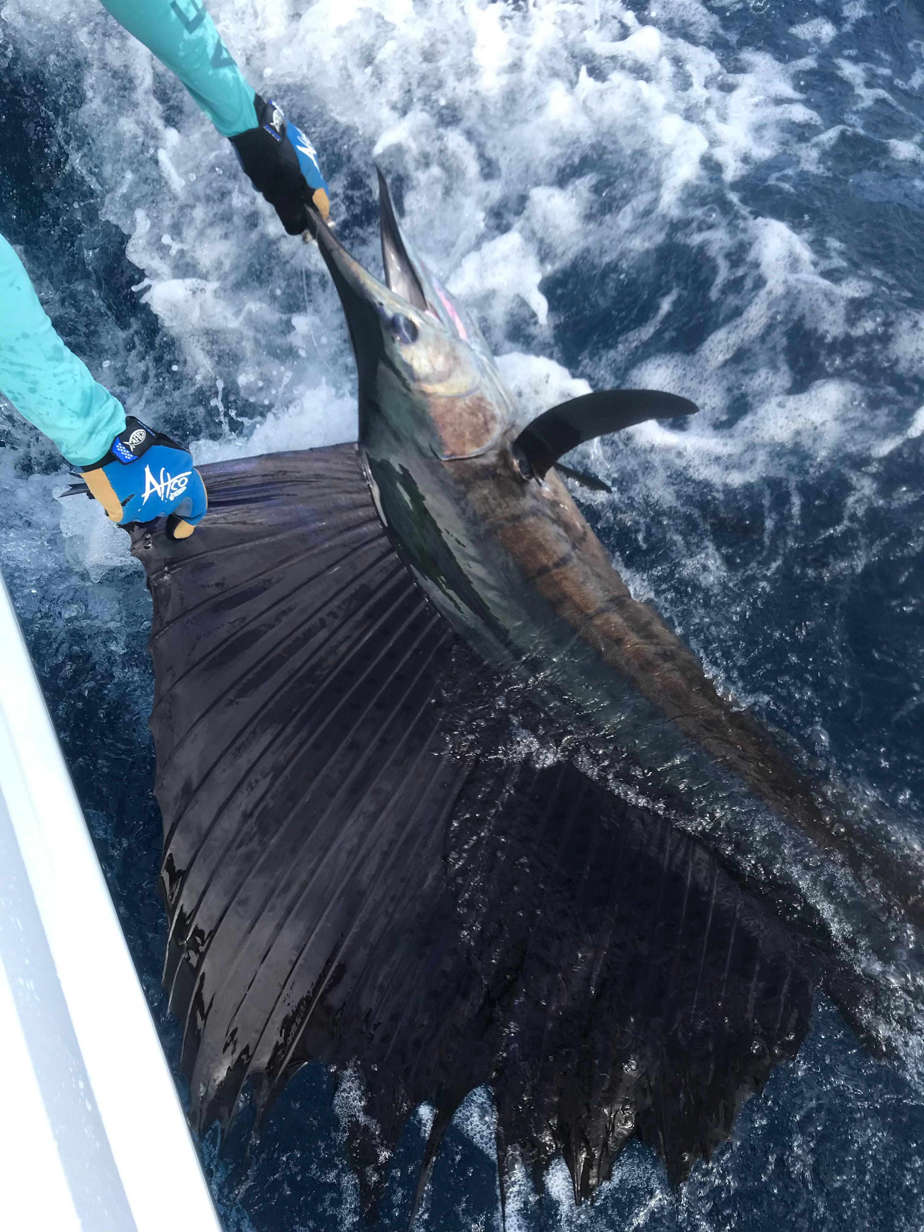 Fishing Tours