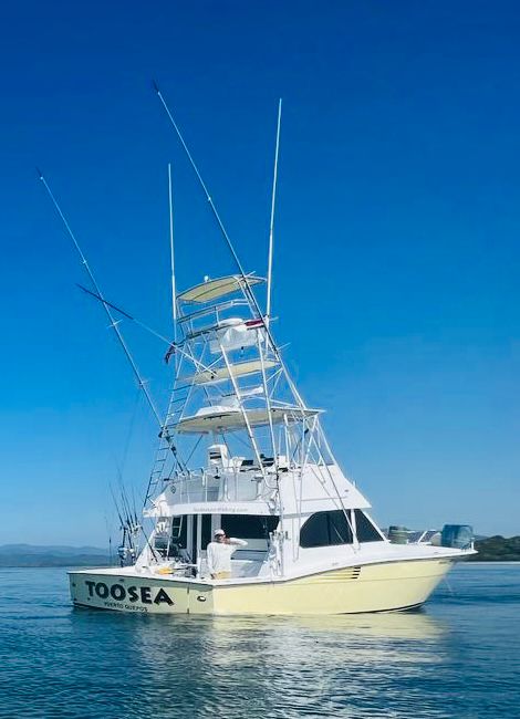 Toosea