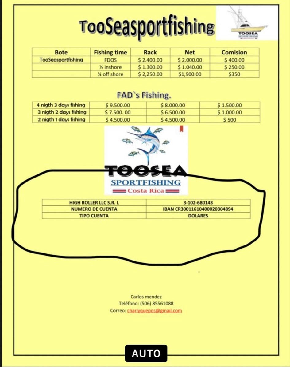 Toosea