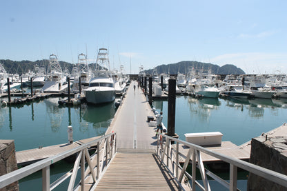 Fishing Tours