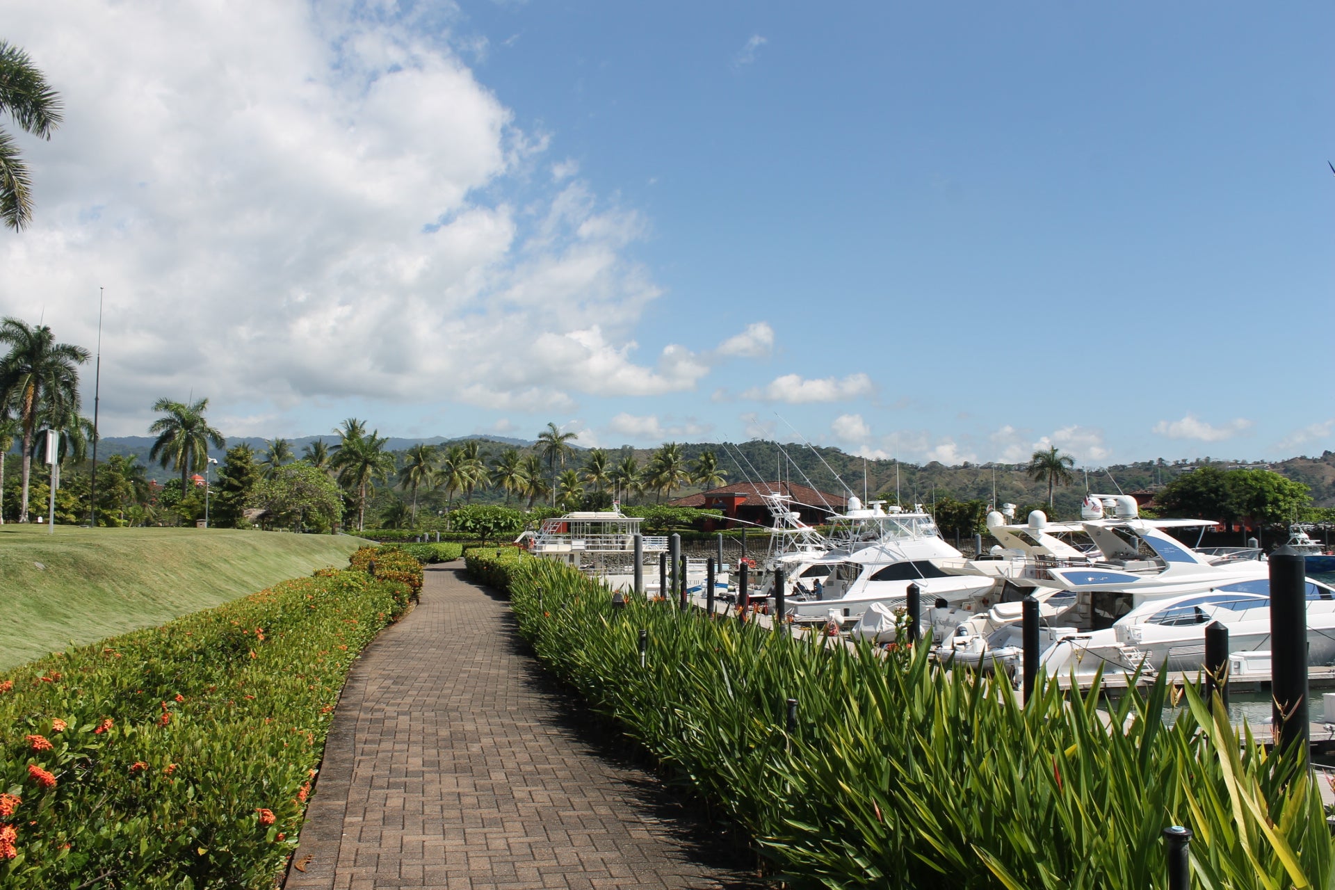 Fishing Tours