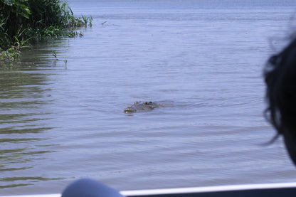 Crocodile Tour