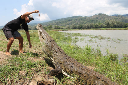 Crocodile Tour