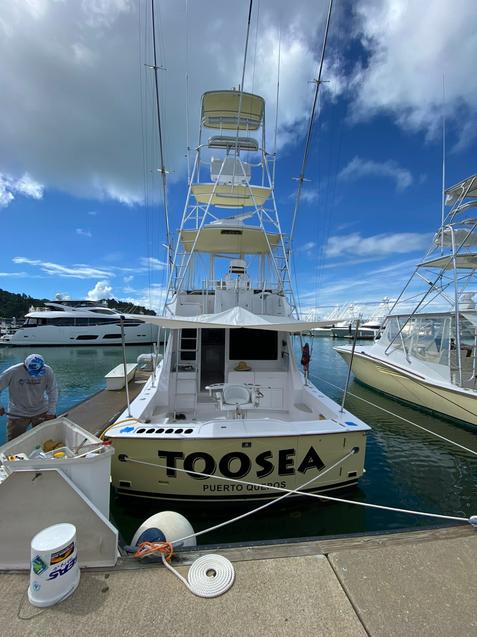 Toosea