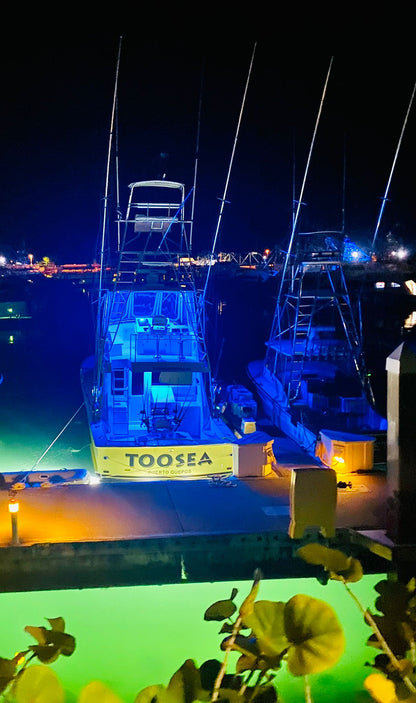Toosea