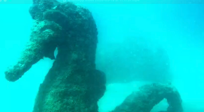 Snorkeling