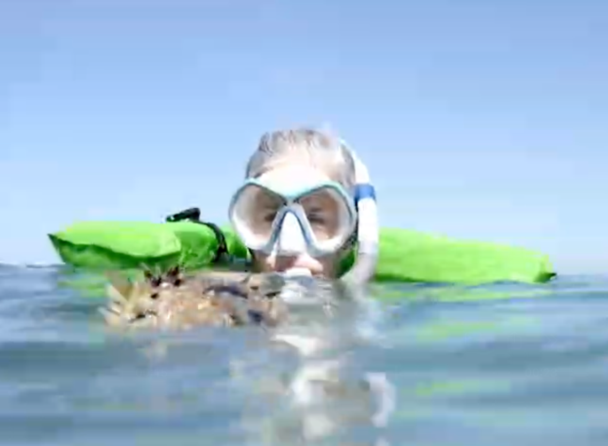 Snorkeling