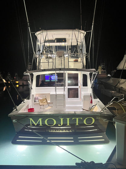 Mojito Boat