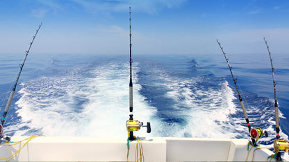 Fishing Tours